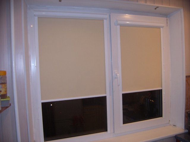 picture 010